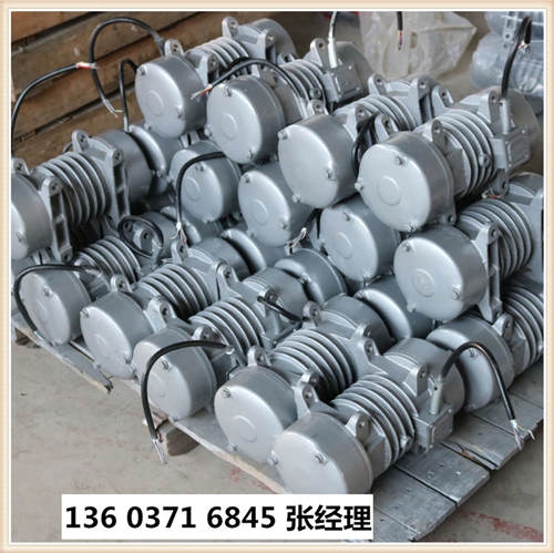 昌江縣便攜式振動器操作簡單行業(yè)品牌