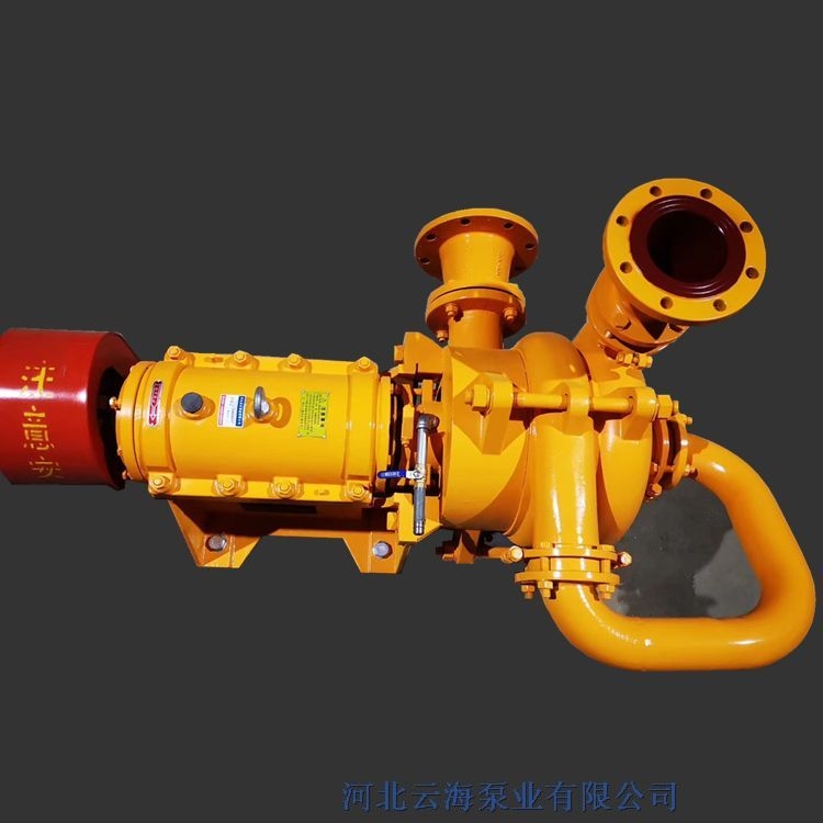 100YF-A42洗沙壓濾機(jī)入料泵 河北云海泵業(yè) 定做洗沙壓濾機(jī)入料泵選型