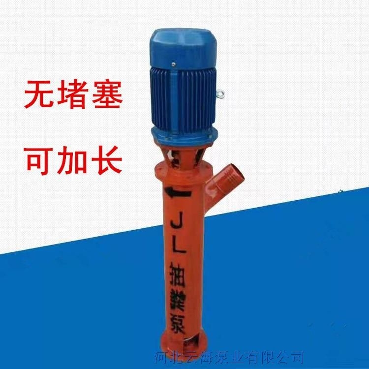 新型絞龍泵 不堵塞絞龍抽糞泵 加長絞龍吸糞泵 河北云海泵業(yè)工廠直銷2米