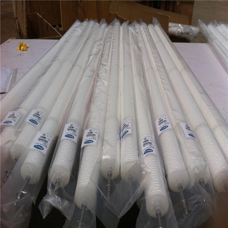 生產出售 HGPPB-1-70-P-X凝結水前置水濾元 質量保障