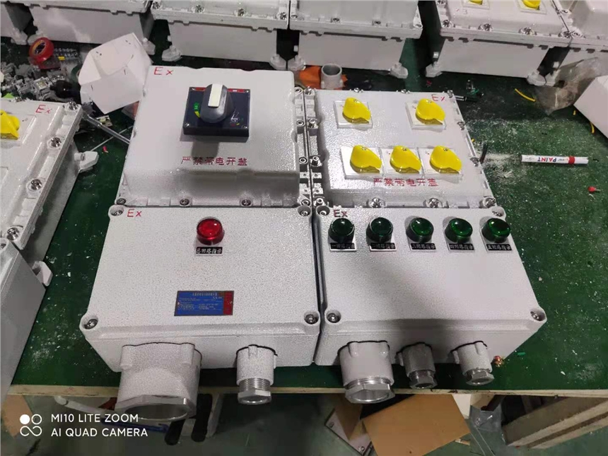 阜新市ZC/BXQ-T系列防爆動(dòng)力動(dòng)力(電磁)起動(dòng)箱(ⅡB、ⅡC)推薦資訊