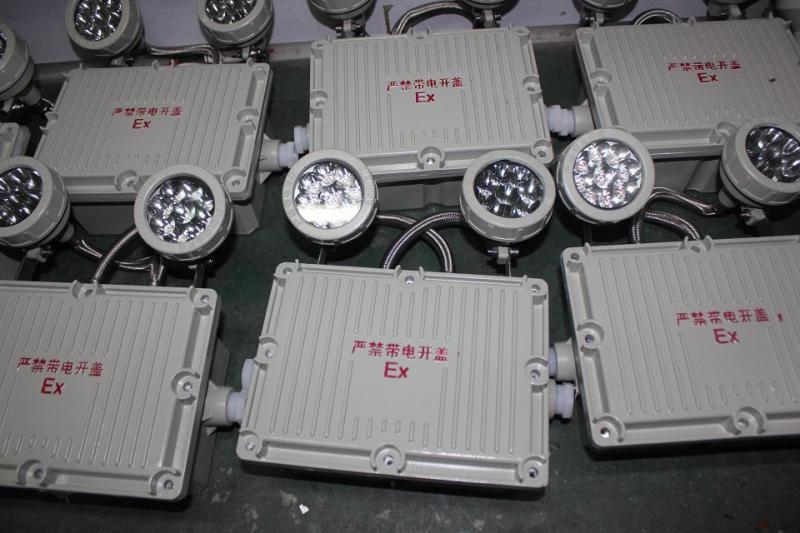 BCJ-B2-20防爆雙頭應急燈