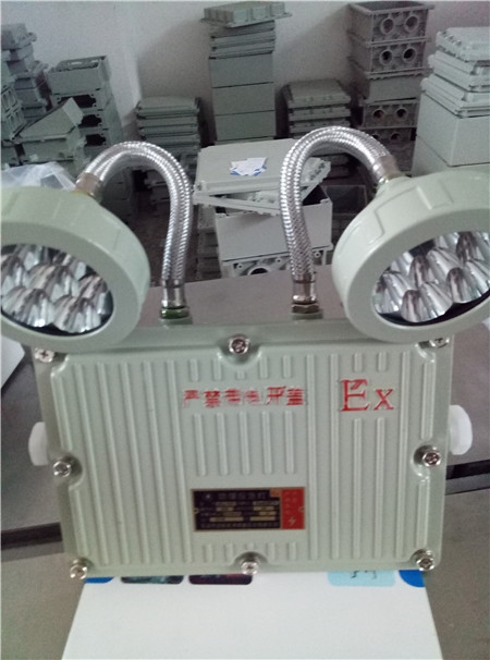 BCJ-2*10W防爆雙頭應急燈