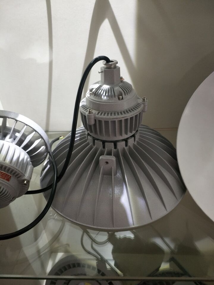 BGL粉塵防爆燈,不銹鋼防爆燈,鑄鋁電箱,防爆照明配電箱,防爆油汀