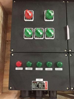 防爆防腐配電箱60ABXD8050-6K