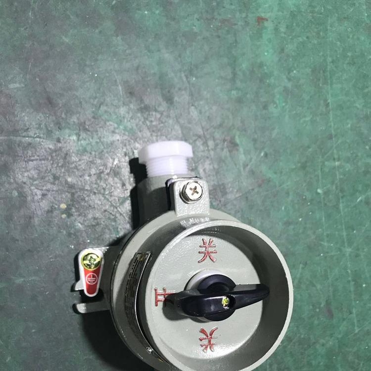 防爆照明開關swb-10a/220v