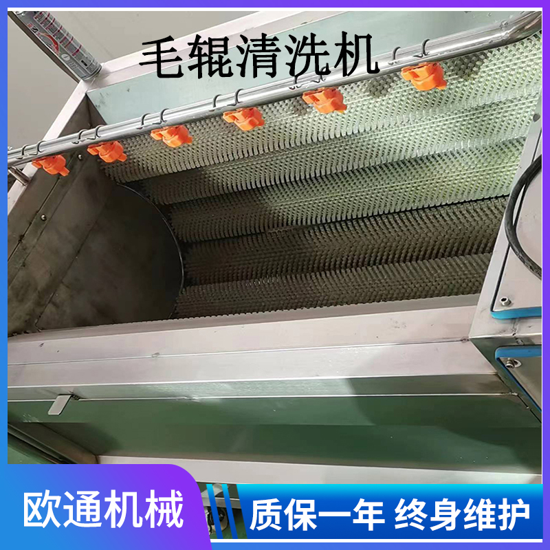 工業(yè)土豆去皮清洗機(jī) 扇貝去泥沙毛輥清洗設(shè)備