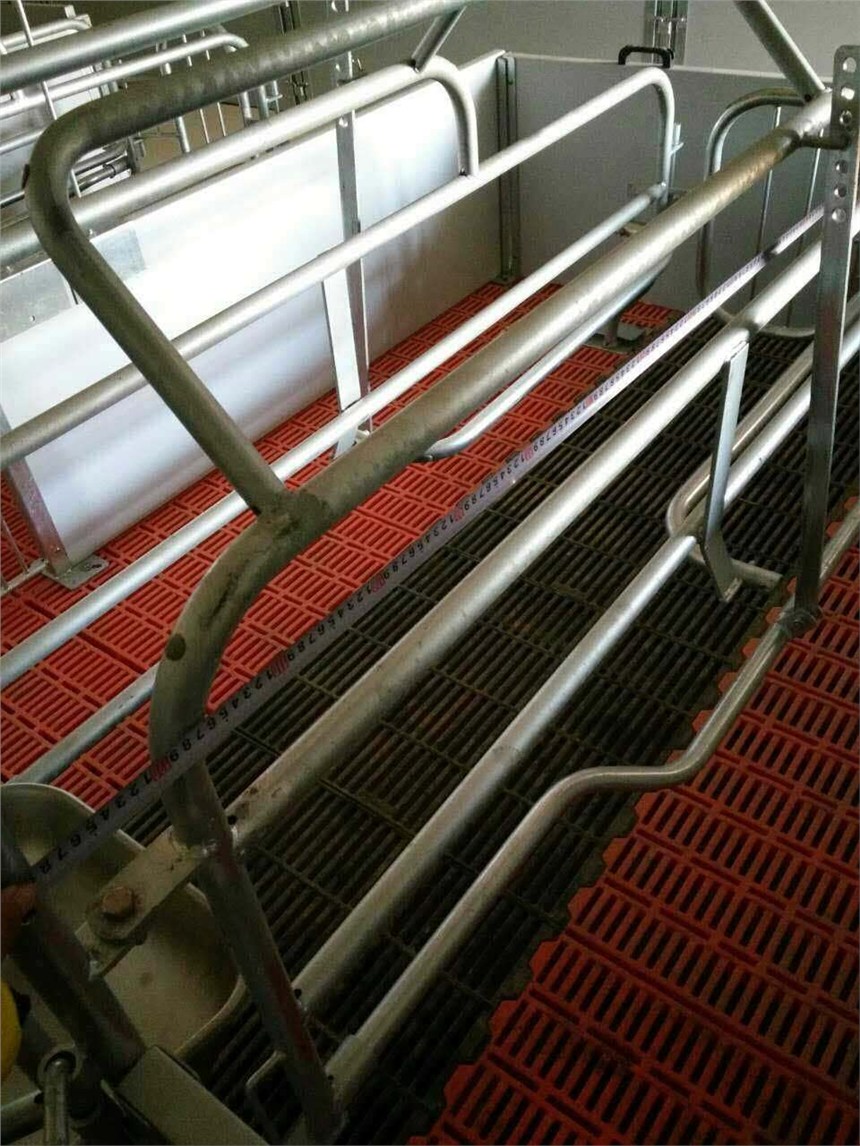 養(yǎng)豬設備  歐式熱鍍鋅母豬產(chǎn)床 豬籠 不銹鋼雙面食槽  廠家直銷零售