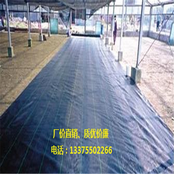 防草布、園藝地布、防草布批發(fā)、防草布價格