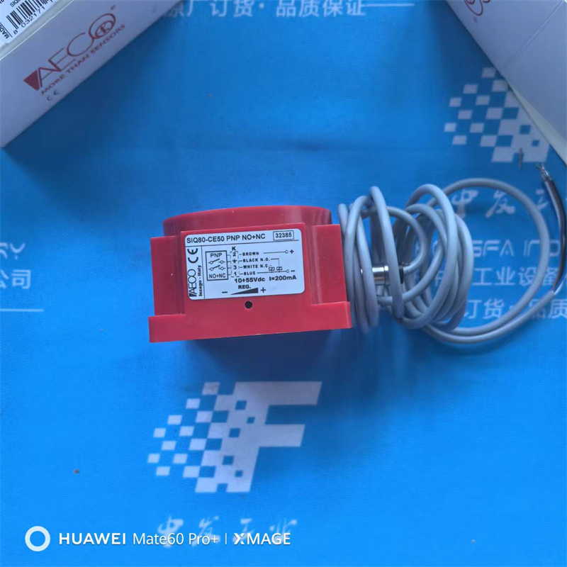 HPI C5089545  P1BAN2008BL10B02N齒輪泵