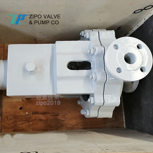 自貢自泵工業(yè)水泵不銹鋼機(jī)械密封ZCP化工離心泵