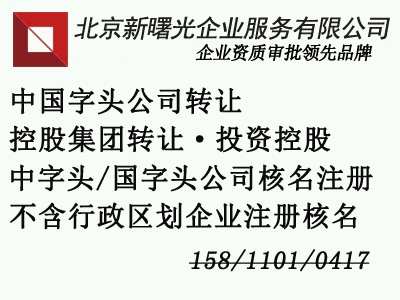 申請注冊無地域區(qū)劃的公司需要什么資料