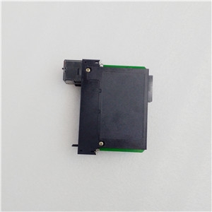 GE FANUC IC800SDM100