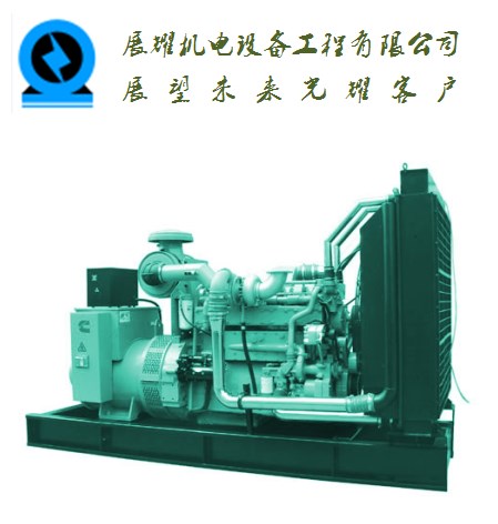 三水發(fā)電機出租公司，三水柴油發(fā)電機出租費用一月（一天）