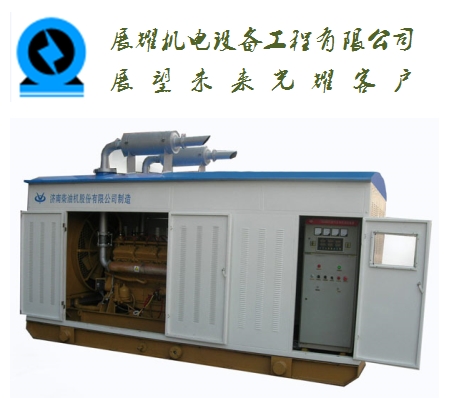 電白發(fā)電機(jī)出租公司，電白柴油發(fā)電機(jī)出租費(fèi)用一月（一天）