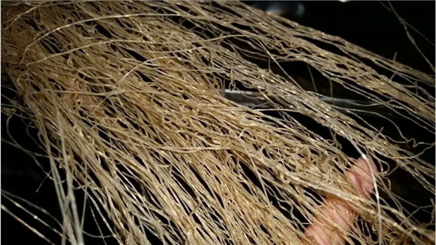 廣東殼聚糖烘干機哪家好