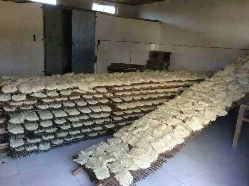 一套面條烘干設備要的錢