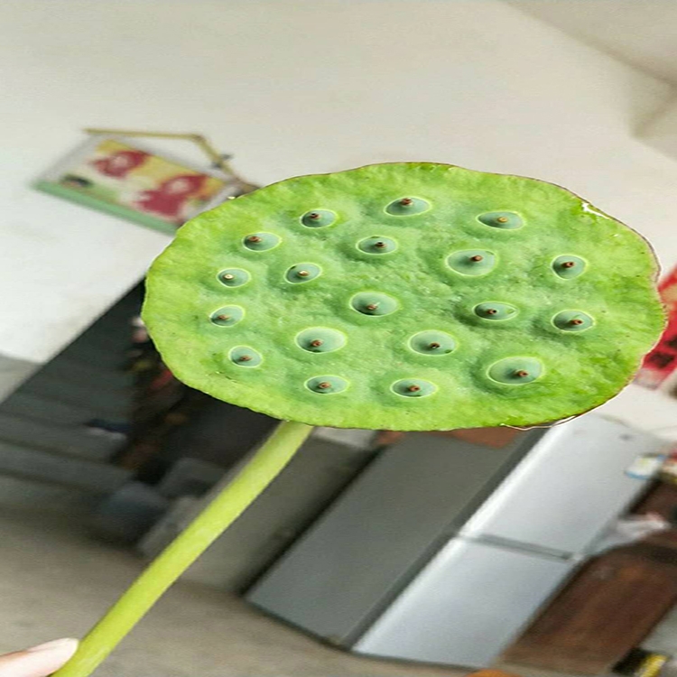 智烘牌低噪音高溫?zé)岜蒙徸雍娓煞砍凉駲C(jī)效率高