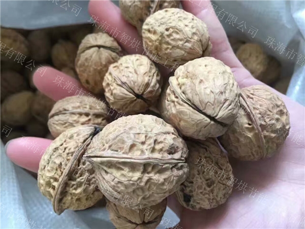 智烘牌熱泵核桃烘干機價格堅果除濕干燥設(shè)備烘干房系統(tǒng)報價