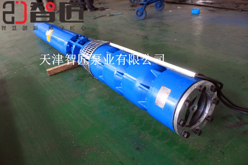 河北外徑98毫米潛水泵服務(wù)電話--智匠泵業(yè)精密產(chǎn)品