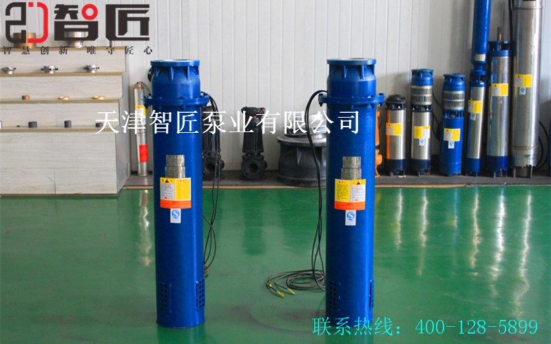 湖北外徑116毫米潛水泵公司--智匠泵業(yè)精密產(chǎn)品