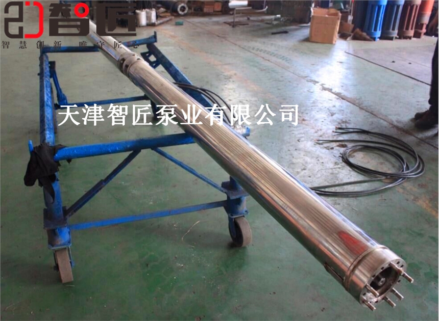 廣東外徑98毫米潛水泵型號解釋--智匠泵業(yè)精密產(chǎn)品