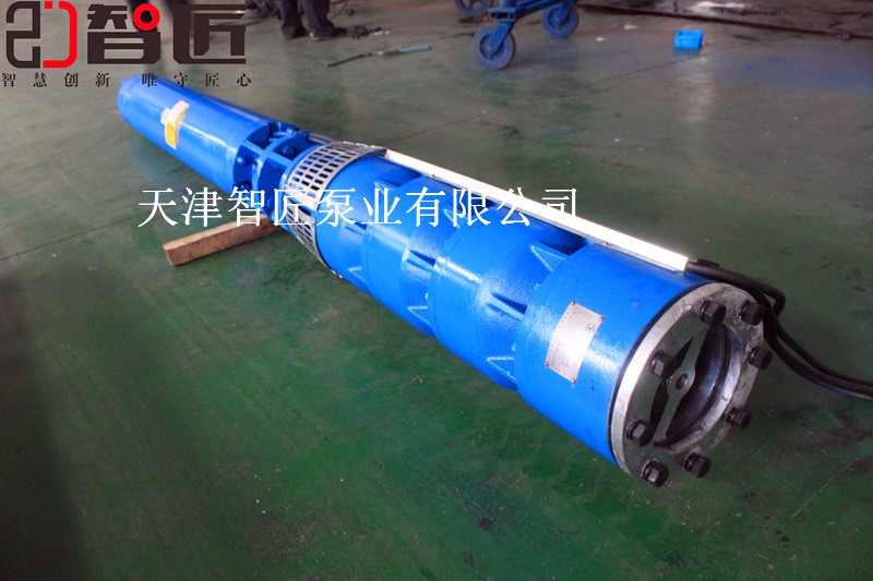 黑龍江外徑116毫米潛水泵廠家--智匠泵業(yè)精密產(chǎn)品