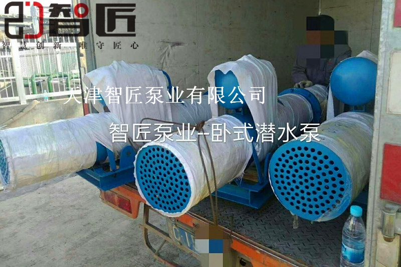 寧德臥式潛水泵優(yōu)質(zhì)產(chǎn)品--天津智匠泵業(yè)