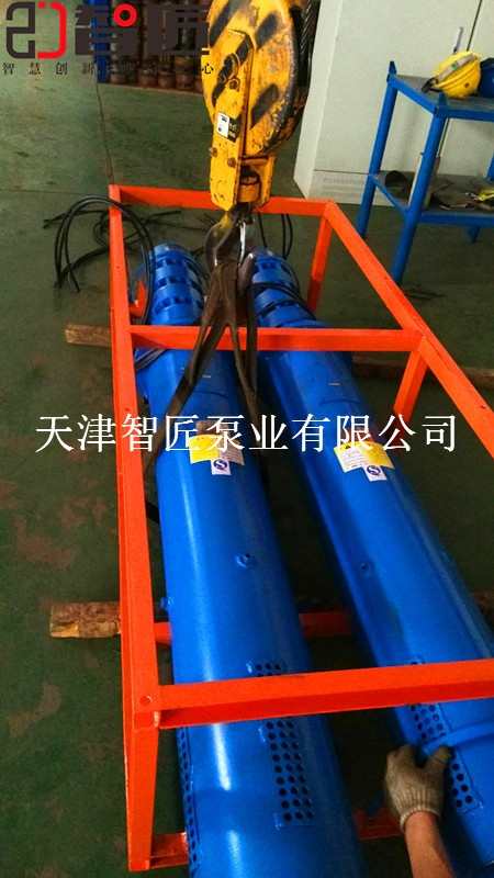 綏化臥式潛水泵優(yōu)質(zhì)產(chǎn)品--天津智匠泵業(yè)