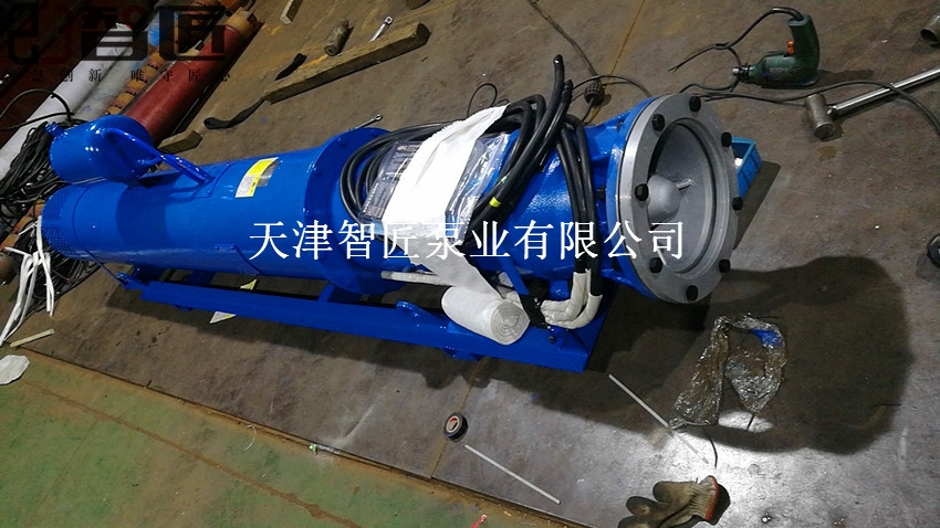 佛山河道潛水泵熱銷產(chǎn)品--天津智匠泵業(yè)