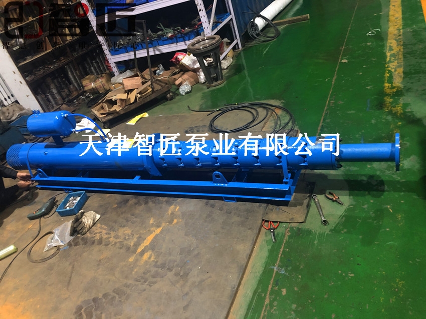拉薩河道潛水泵熱銷產(chǎn)品--天津智匠泵業(yè)