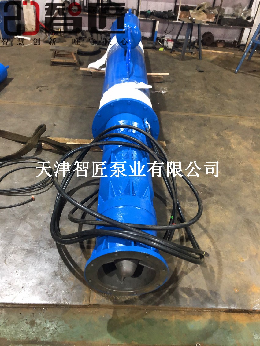 萍鄉(xiāng)浮筒式潛水泵生產(chǎn)廠家--天津智匠泵業(yè)
