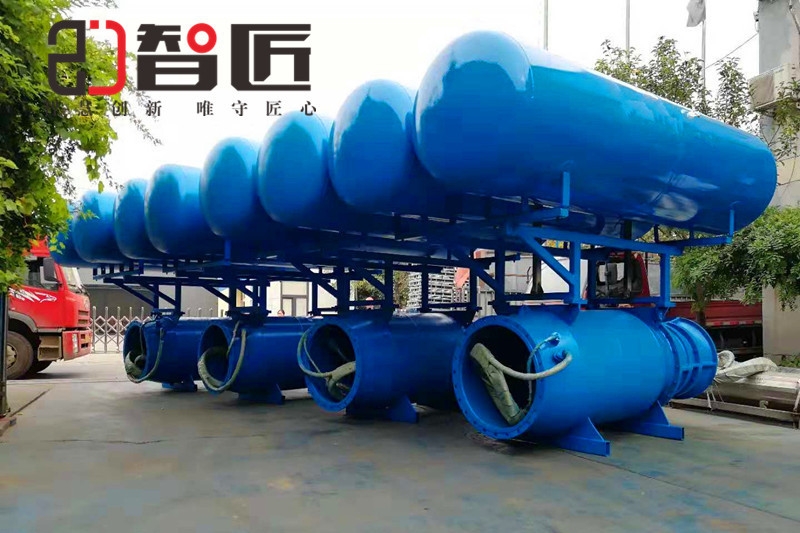 天津智匠泵業(yè)漂浮式潛水泵品質(zhì)優(yōu)良