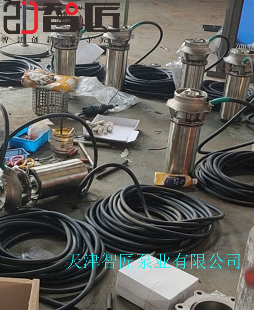 便攜式永磁潛水泵服務(wù)周到--天津智匠泵業(yè)