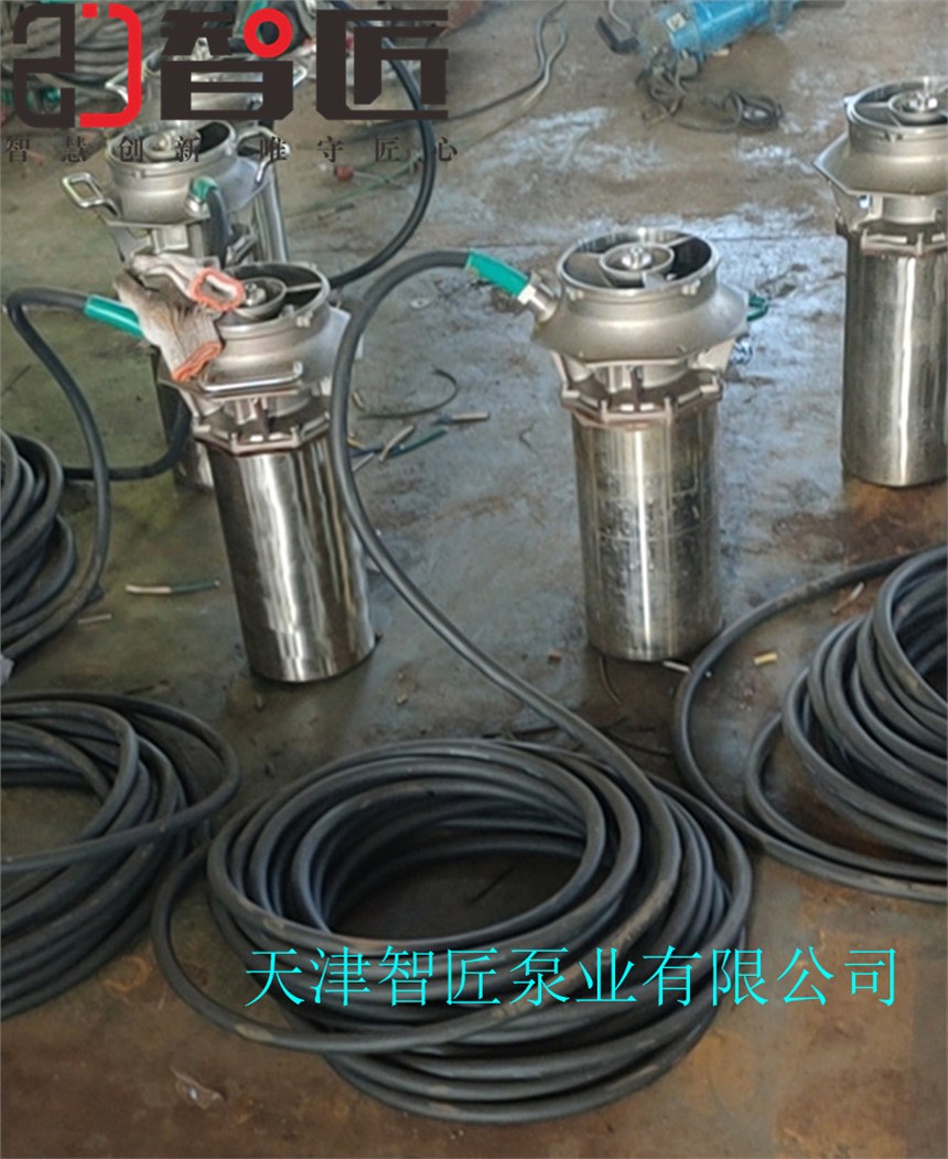 超輕便潛水泵量大從優(yōu)--天津智匠泵業(yè)