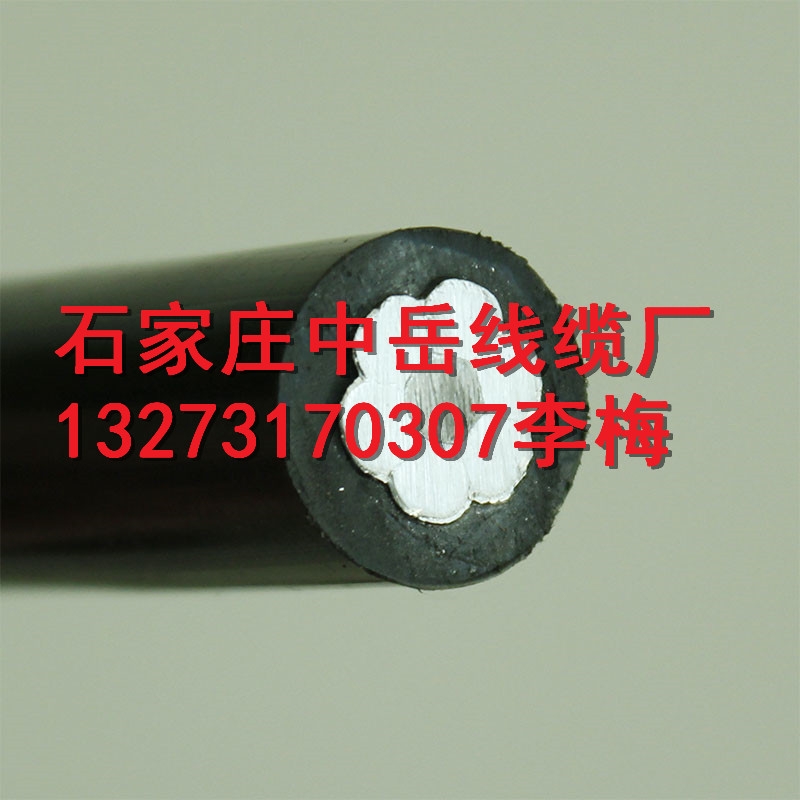 遼寧省大連JKLGYJ-10KV-70-10國(guó)標(biāo)