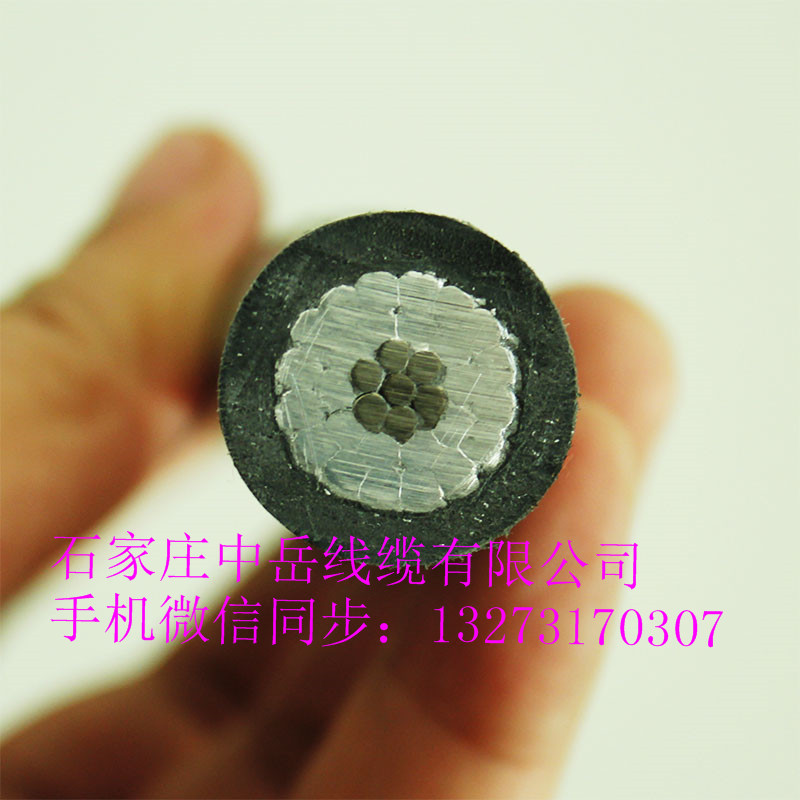 重慶市涪陵青岳JKLGYJ-10KV-185/25架空絕緣導(dǎo)線 國標(biāo)現(xiàn)貨 高壓