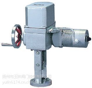 直行程DKZ-310CX電動執(zhí)行器