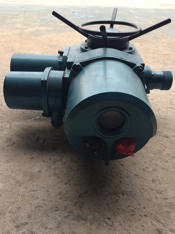 玉林DZW20-24W/T 一體化調(diào)節(jié)型閥門電動裝置