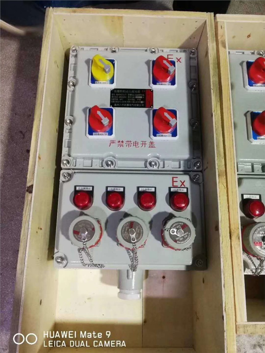 德力西元件防爆動(dòng)力檢修箱