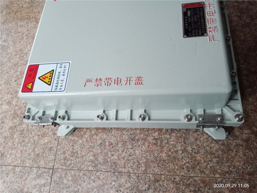 靈活定制上進(jìn)下出左進(jìn)右出防爆接線箱