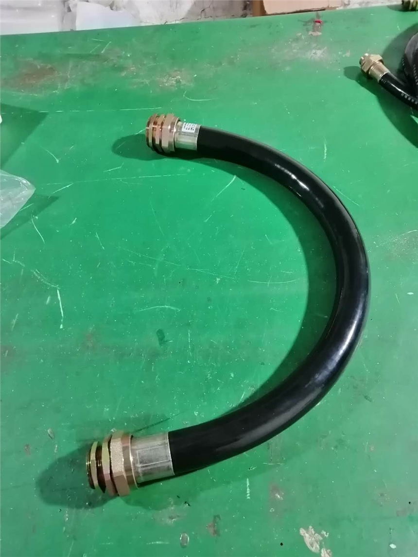 DN15防爆連接管BNG系項目改造