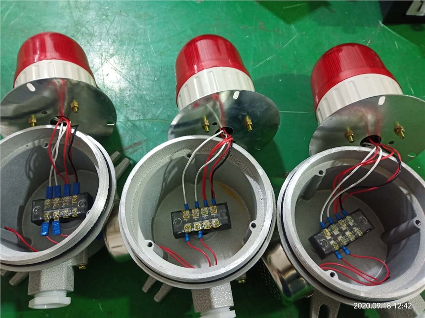 防爆聲光報警器AC220V/24V生產(chǎn)廠家