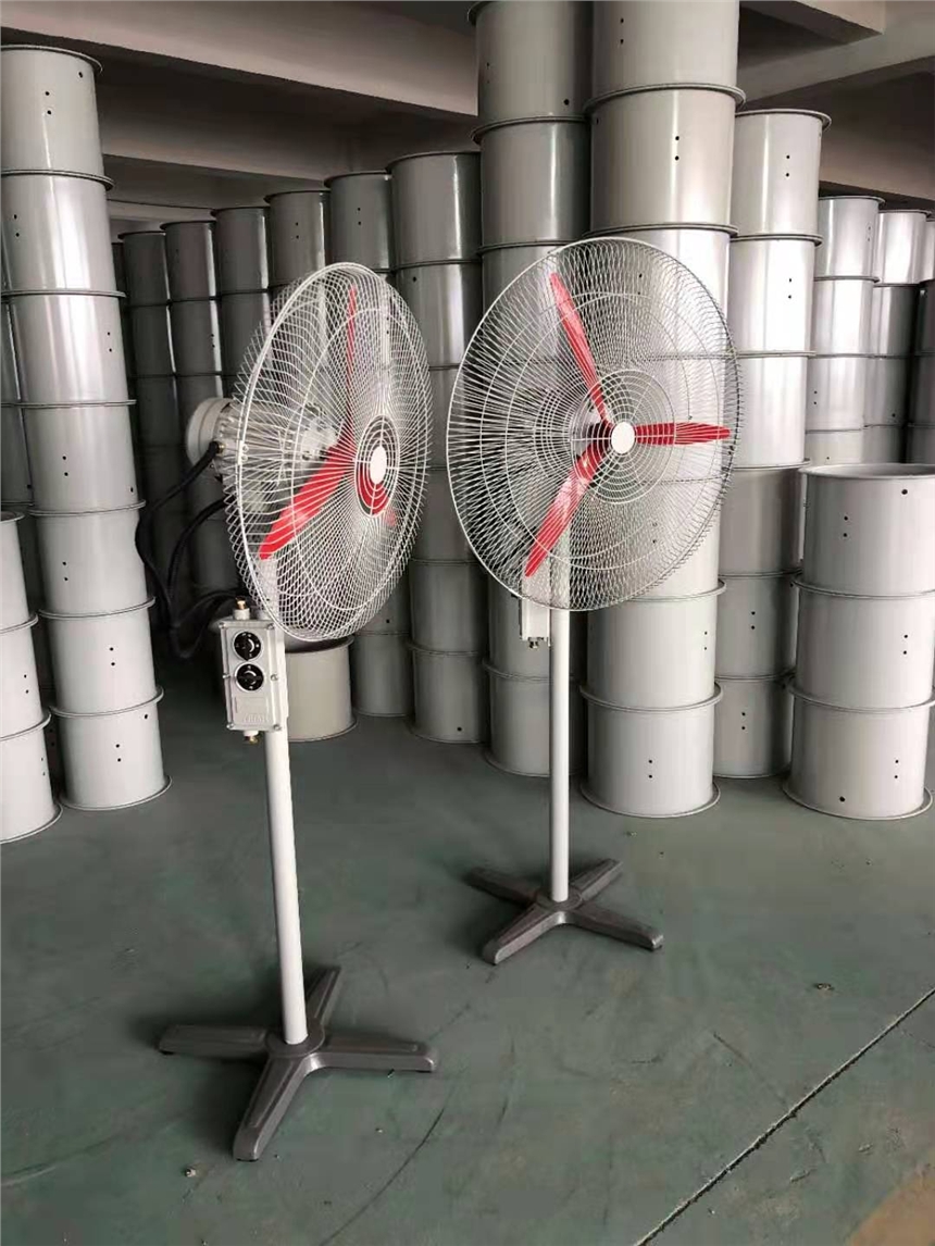 落地式搖頭扇 防爆風(fēng)扇 工業(yè)落地扇 防爆搖頭扇 FB-750