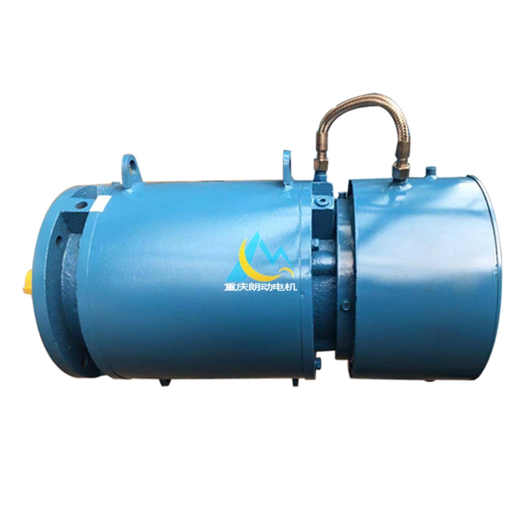 廠家熱銷輥道專用變頻調(diào)速水冷電機(jī)  YGPSL200L2-6-22KW 性價(jià)比高