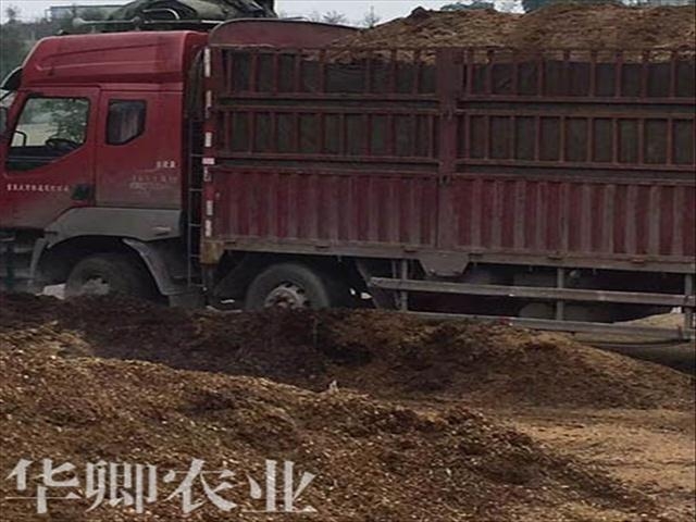 種植土新聞-梁平花卉營養(yǎng)土批發(fā)