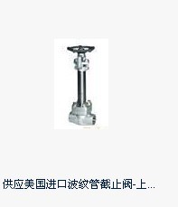 供應(yīng)美國進(jìn)口波紋管截止閥-上海供應(yīng)美國進(jìn)口波紋管截止閥