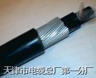 供應(yīng)ZR-KVVP、ZR-KVV、ZRC-KVV22 阻燃控制電纜