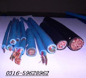RVVZ-1×95㎜電源軟電纜