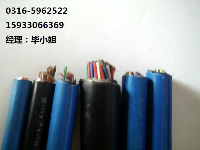 HYVP電纜屬于天津哪得電纜廠，HYVP屏蔽電纜廠家在哪